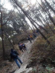 토2